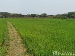 出售 土地 在 Mueang Phayao, Phayao