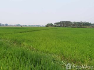 出售 土地 在 Mueang Phayao, Phayao