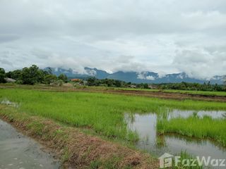 出售 土地 在 Mueang Phayao, Phayao