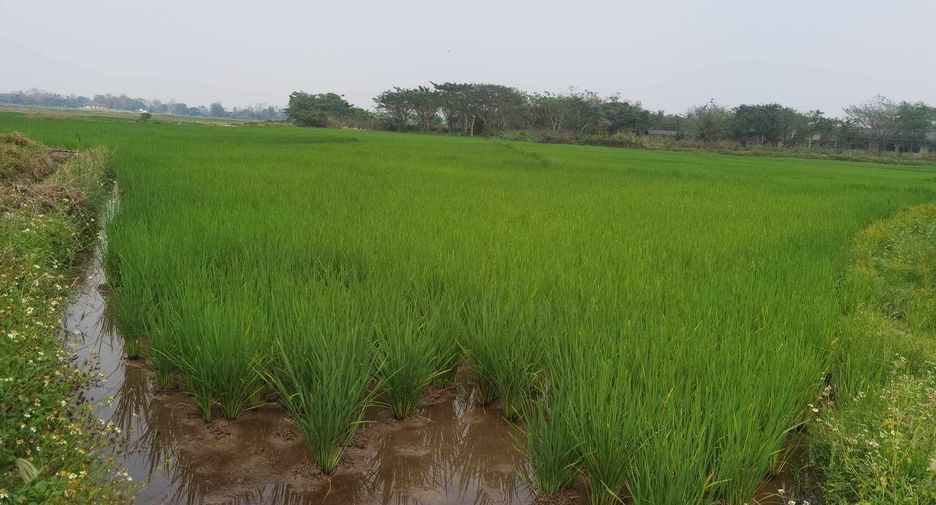 For sale land in Mueang Phayao, Phayao