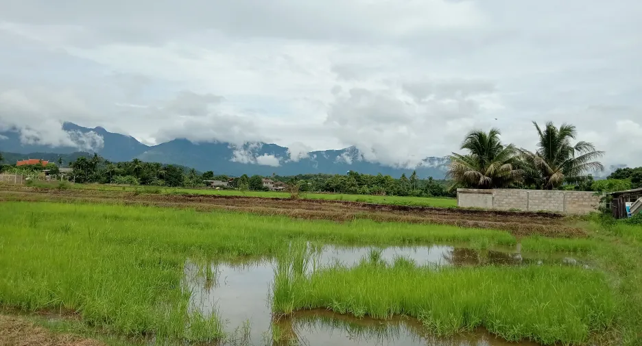 For sale land in Mueang Phayao, Phayao