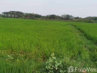 出售 土地 在 Mueang Phayao, Phayao