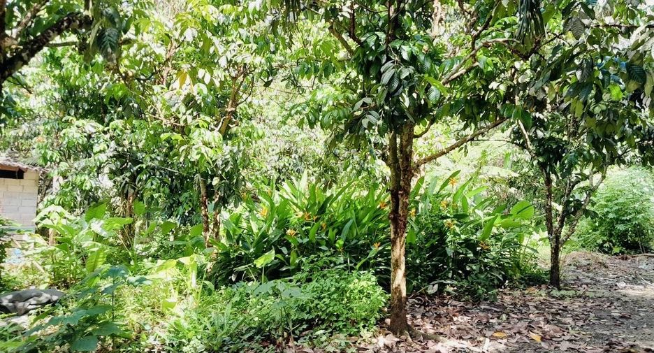 For sale 2 bedrooms house in Huai Yot, Trang