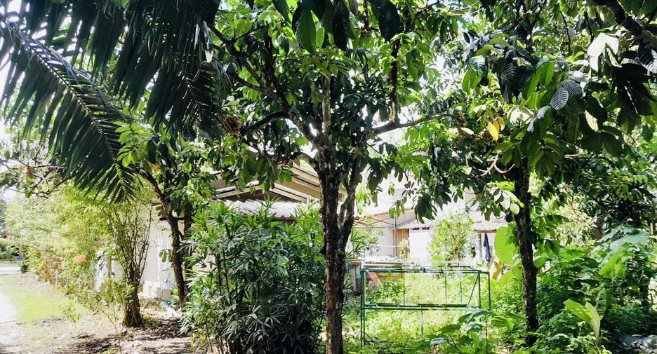 For sale 2 bedrooms house in Huai Yot, Trang