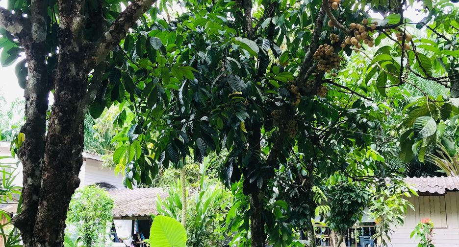 For sale 2 bedrooms house in Huai Yot, Trang