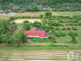 For sale land in Chiang Dao, Chiang Mai