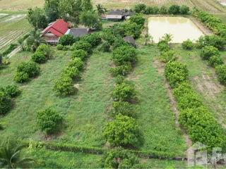For sale land in Chiang Dao, Chiang Mai