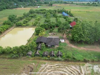 For sale land in Chiang Dao, Chiang Mai