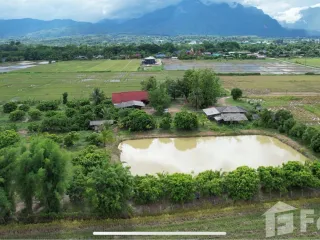 For sale land in Chiang Dao, Chiang Mai