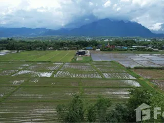 For sale land in Chiang Dao, Chiang Mai