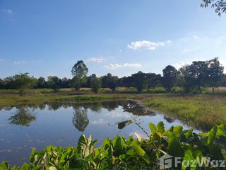 Продажа Участок в Nong Ruea, Кхонкен