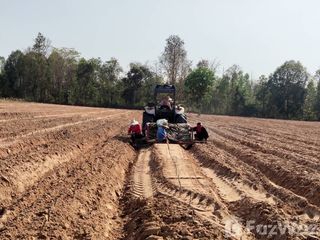 Продажа Участок в Nong Ruea, Кхонкен