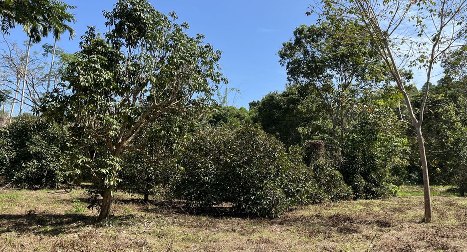 For sale land in Na Thawi, Songkhla