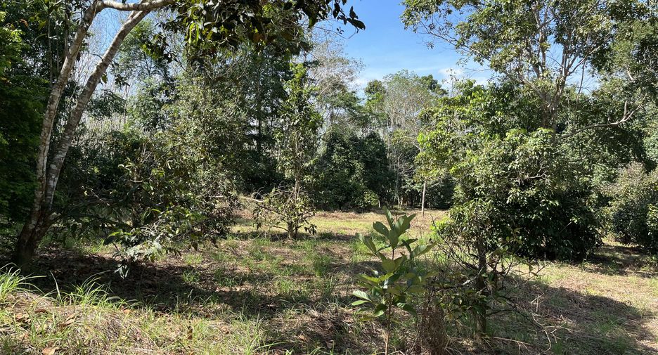 For sale land in Na Thawi, Songkhla