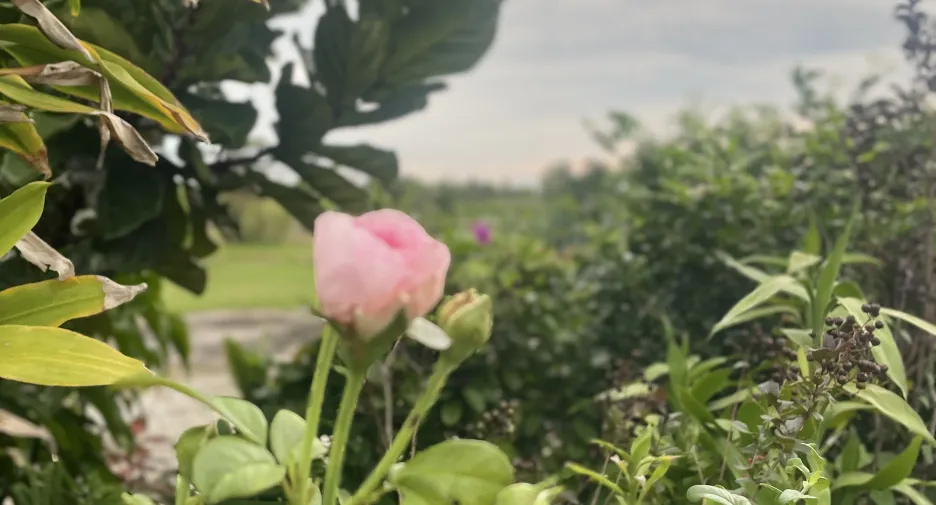 For sale 2 bedrooms house in Bang Nam Priao, Chachoengsao