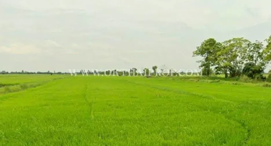 For sale land in Ongkharak, Nakhon Nayok