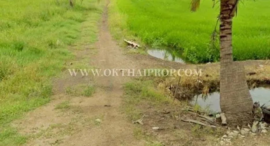 For sale land in Ongkharak, Nakhon Nayok