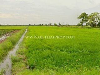 For sale land in Ongkharak, Nakhon Nayok