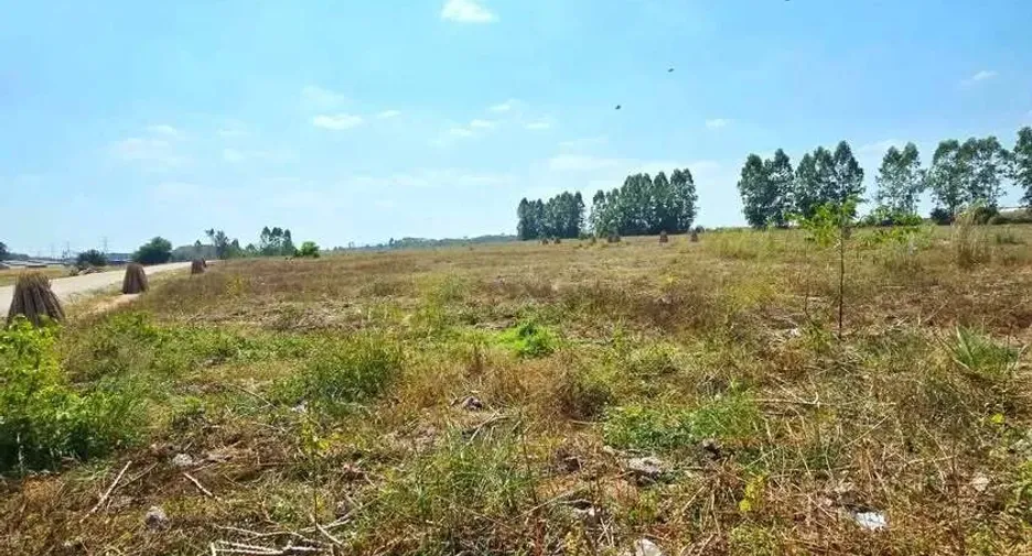 For sale land in Pluak Daeng, Rayong
