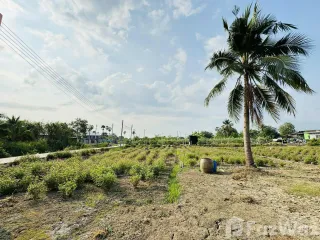 À vendre terrain à Nakhon Chai Si, Nakhon Pathom