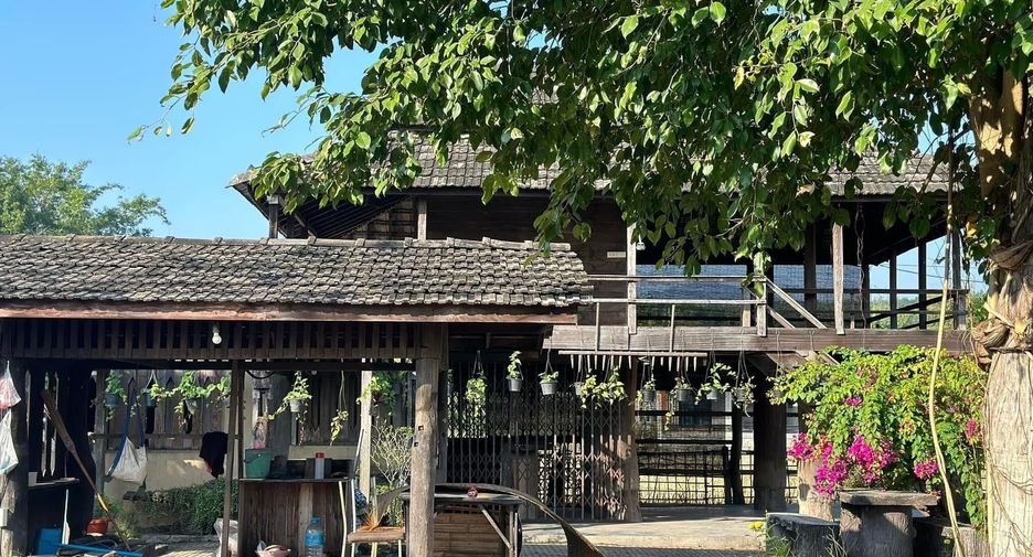 出租 6 卧室 商业空间 在 Mueang Chiang Rai, Chiang Rai