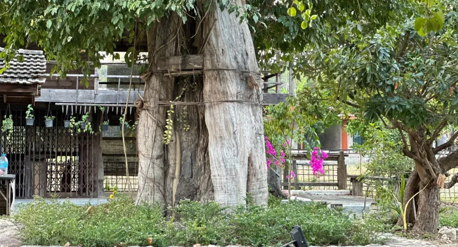 出租 6 卧室 商业空间 在 Mueang Chiang Rai, Chiang Rai