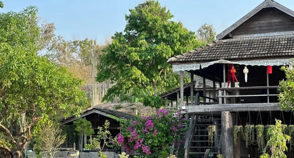 出租 6 卧室 商业空间 在 Mueang Chiang Rai, Chiang Rai