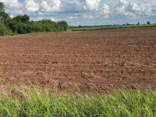 Продажа Участок в Lam Sonthi, Lopburi