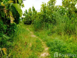出售 土地 在 Hankha, Chai Nat