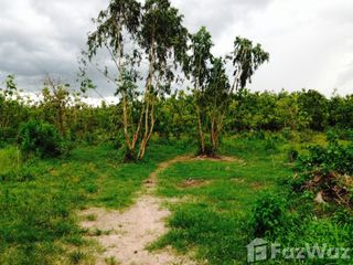 Terreno en venta en Hankha, Chainat