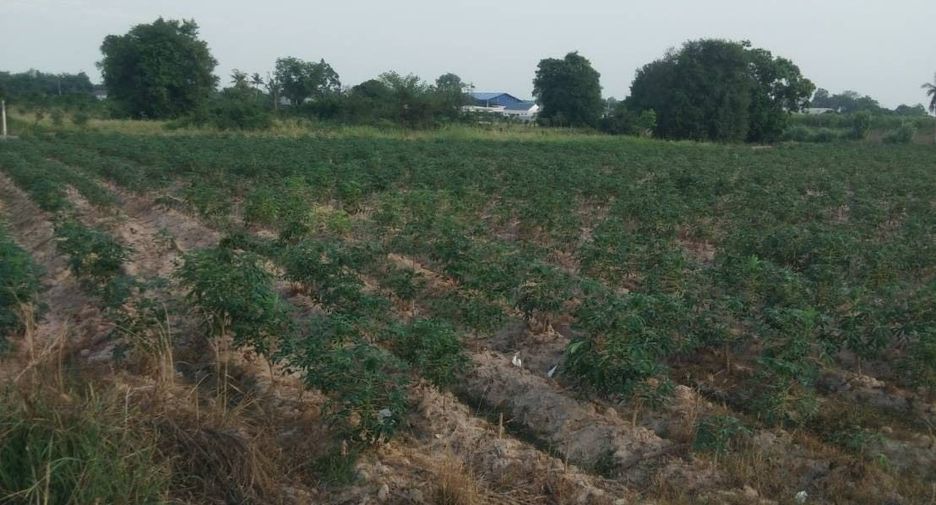 For sale land in Ban Chang, Rayong