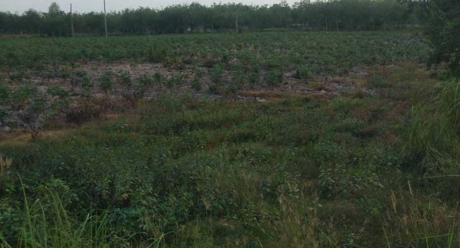 For sale land in Ban Chang, Rayong