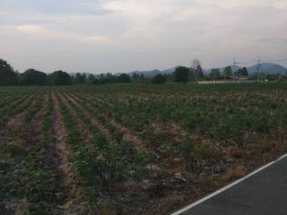 出售 土地 在 Ban Chang, Rayong