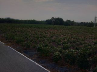 出售 土地 在 Ban Chang, Rayong