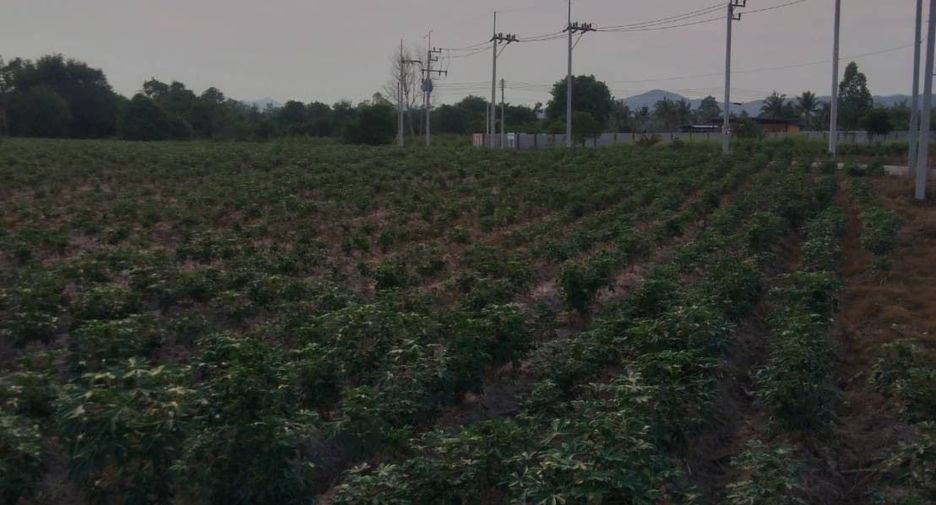 For sale land in Ban Chang, Rayong