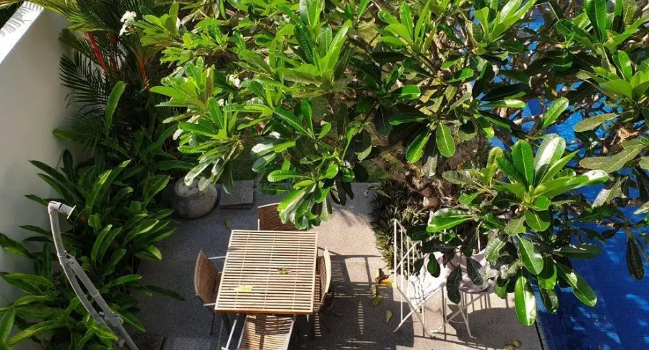 For rent 3 bedrooms villa in Thalang, Phuket