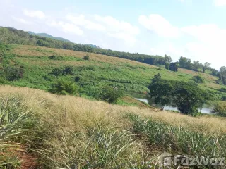 For sale land in Mae Chan, Chiang Rai