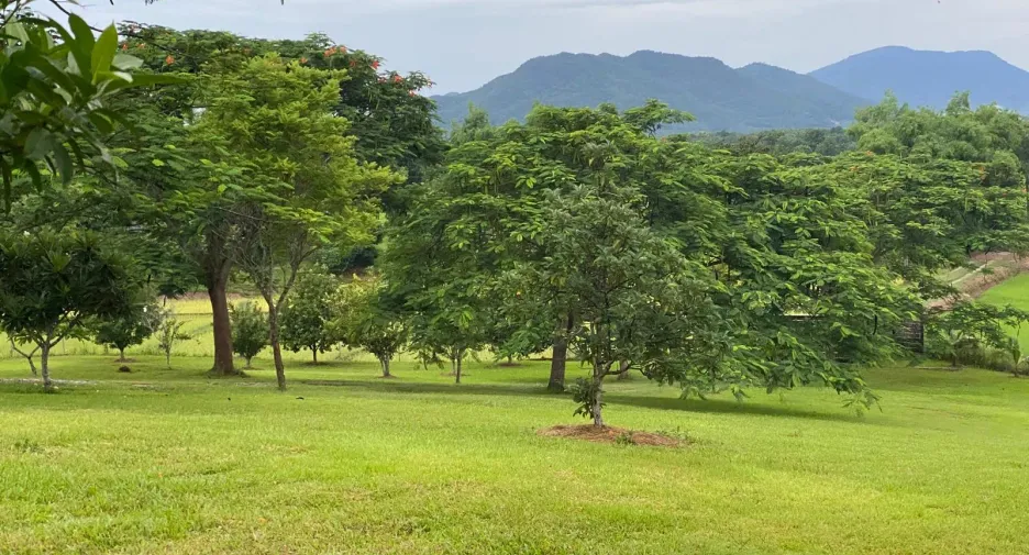 For sale 5 bedrooms house in Thoeng, Chiang Rai