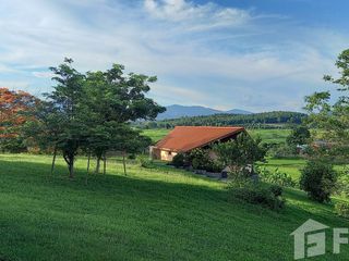 For sale 5 bedrooms house in Thoeng, Chiang Rai