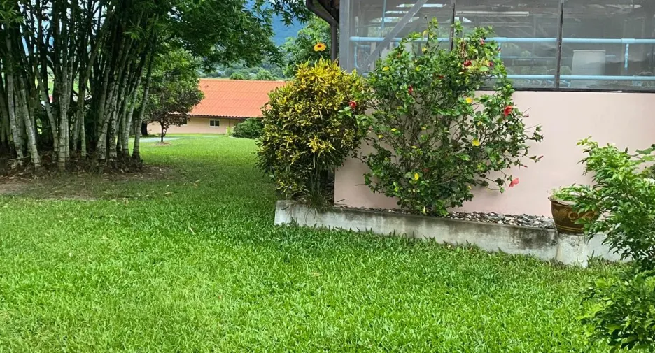 For sale 5 bedrooms house in Thoeng, Chiang Rai