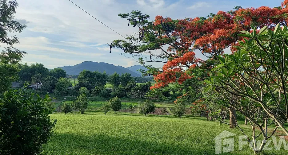 For sale 5 bedrooms house in Thoeng, Chiang Rai