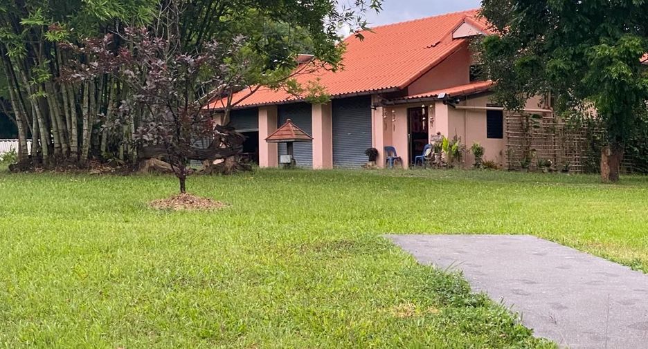 For sale 5 bedrooms house in Thoeng, Chiang Rai