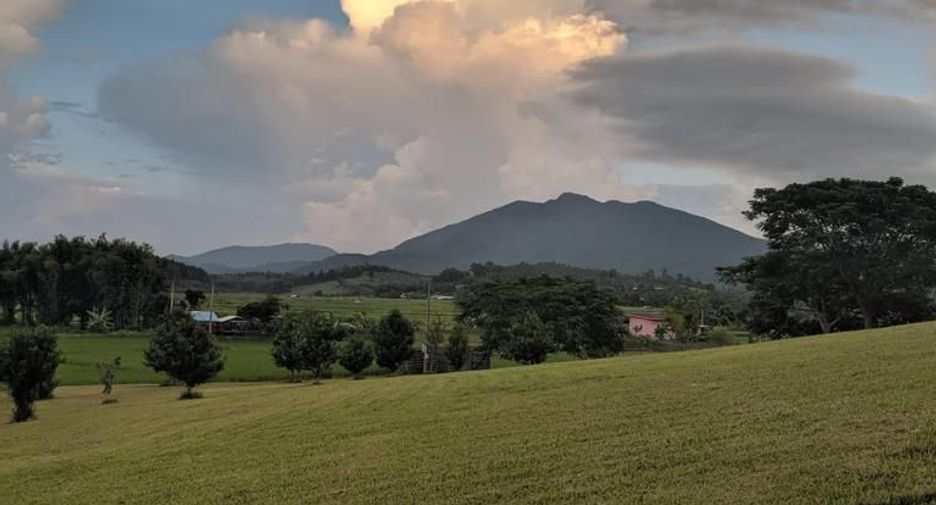 For sale 5 bedrooms house in Thoeng, Chiang Rai