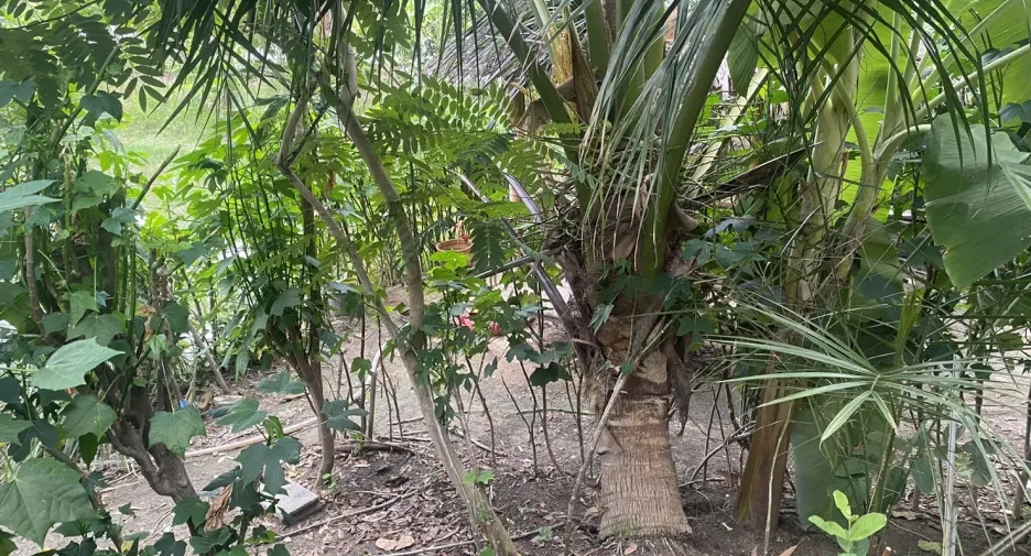 For sale 6 bedrooms house in Lat Lum Kaeo, Pathum Thani