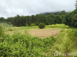 出售 土地 在 Phan, Chiang Rai