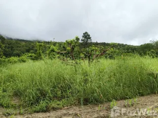 出售 土地 在 Phan, Chiang Rai