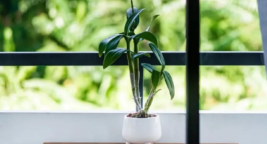 For sale studio condo in Mueang Phuket, Phuket