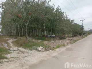 出售 土地 在 Pluak Daeng, Rayong
