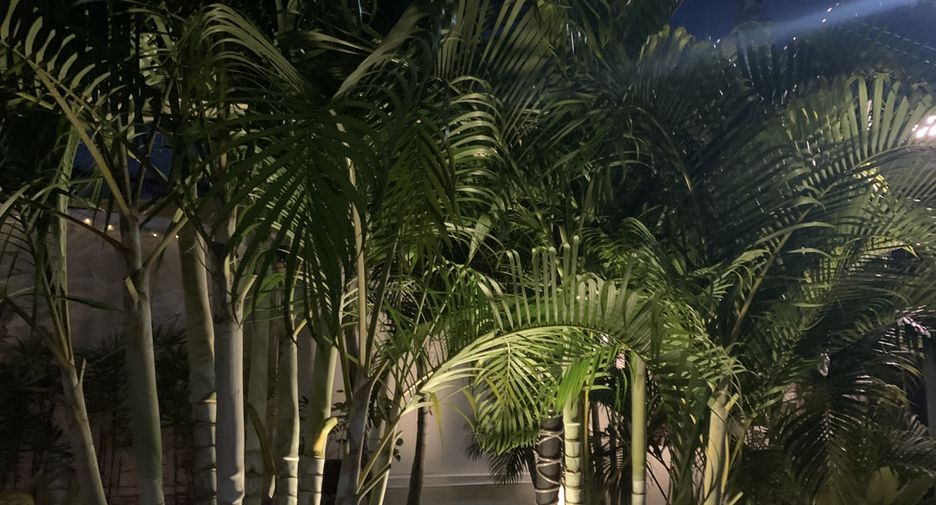 Haus zum Kauf mit 3 Zimmer in Mueang Nakhon Ratchasima, Nakhon Ratchasima