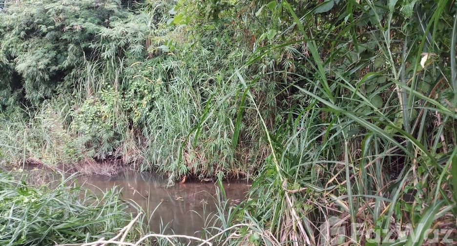 出售 土地 在 Mae Tha, Lamphun